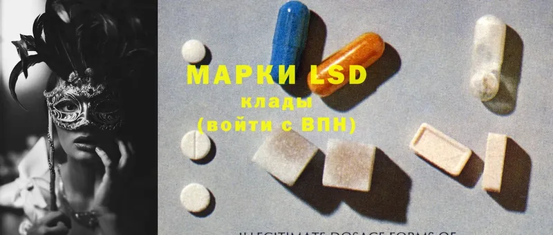 darknet наркотические препараты  Купино  LSD-25 экстази кислота  сколько стоит 